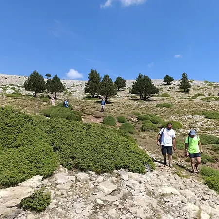 Διαμέρισμα Dinosaur House Coll de Nargó
